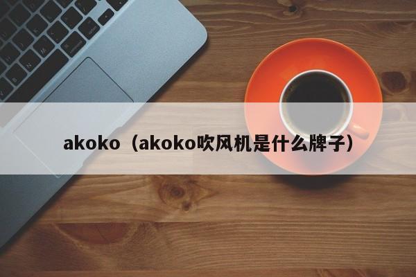 akoko（akoko吹风机是什么牌子）